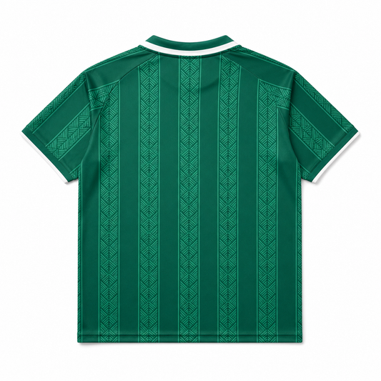 Camisola Alternativa África do Sul 2026