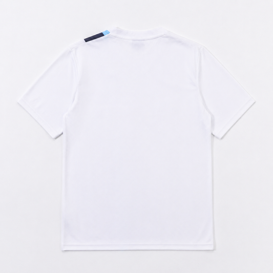 Camisola Alternativa Manchester City 13/14